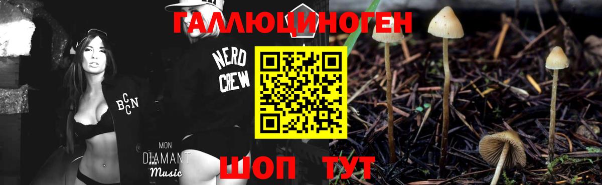 Воркута  Псилоцибиновые грибы MAGIC MUSHROOMS  Вход с VPN 