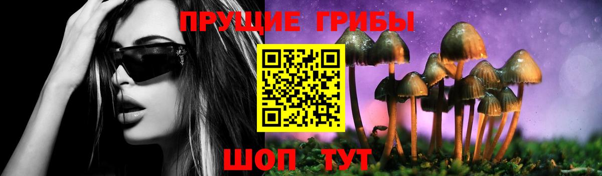 Галлюциногенные грибы GOLDEN TEACHER Воркута